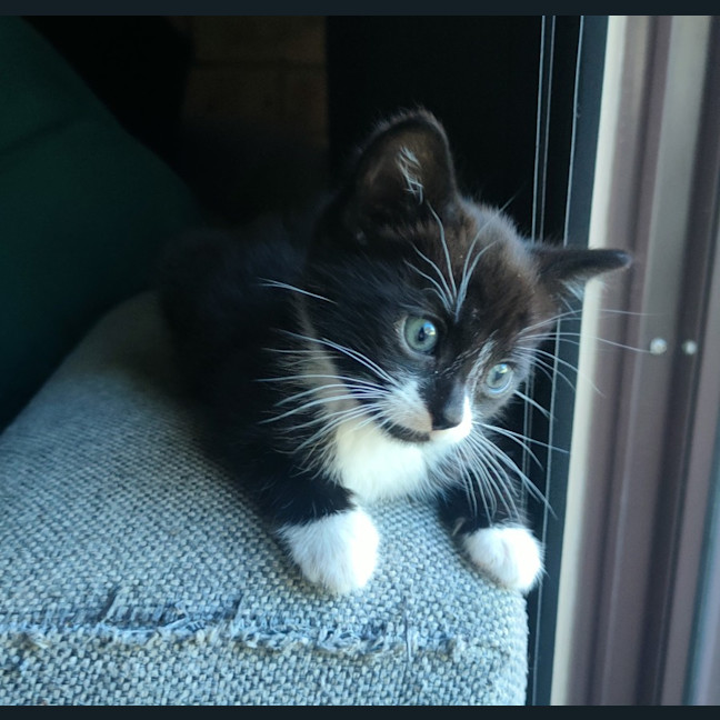 Photo of Luigi