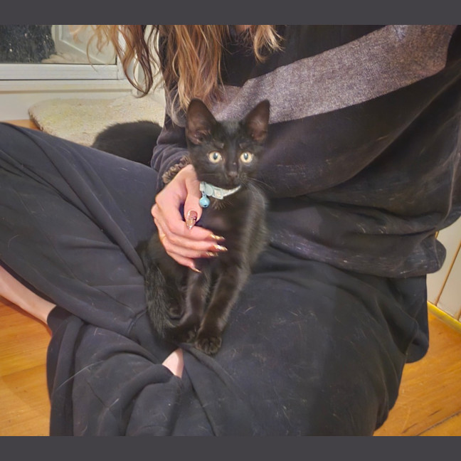 Photo of Meowthew