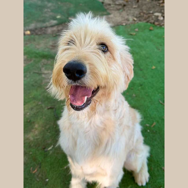 Photo of Digby