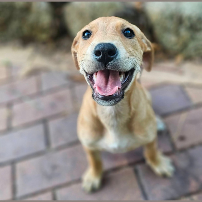 Photo of Statler