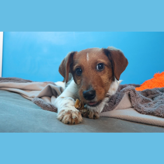 Photo of Clarence Von Wigglebottom