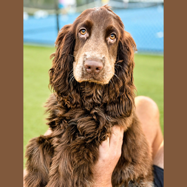 Photo of Monty