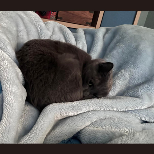 Photo of Luna