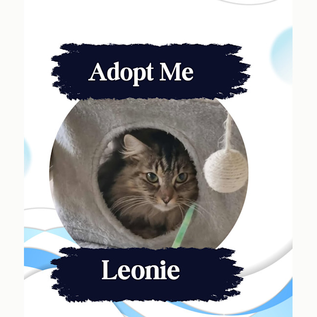 Photo of Leonie