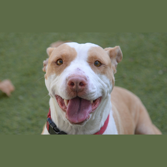 Photo of Darla