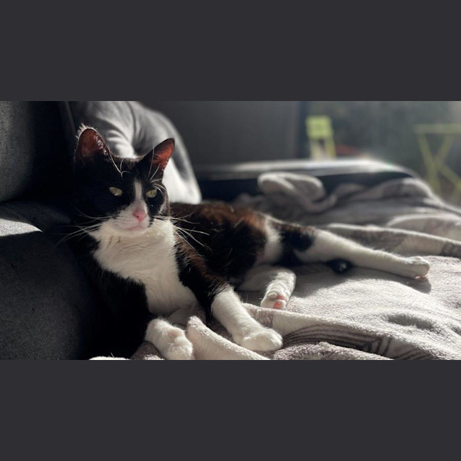 Photo of Penelope Babbington