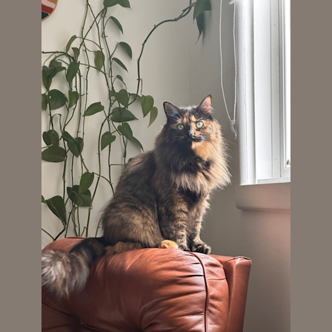 Photo of Billie