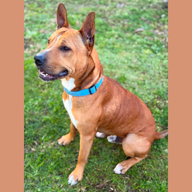 Photo of Reuben