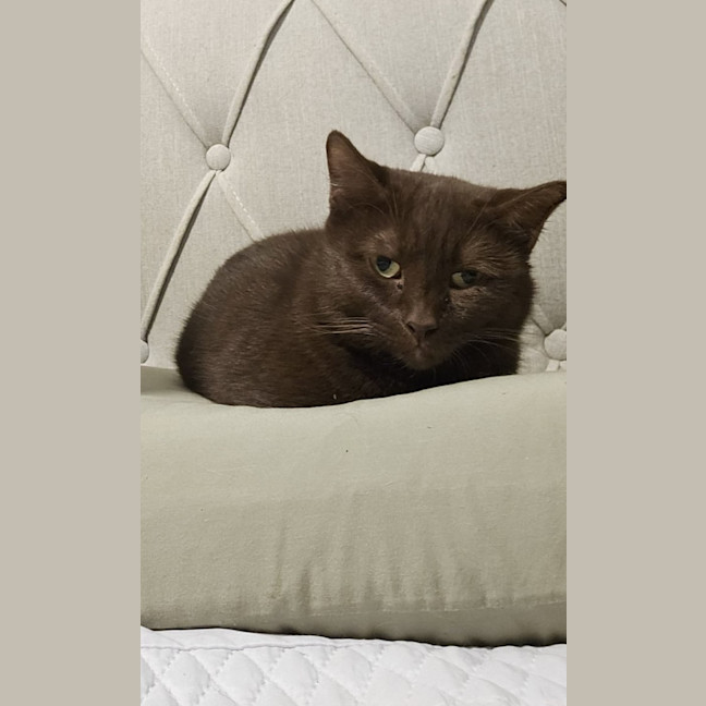 Photo of Trixx Aka Munchie