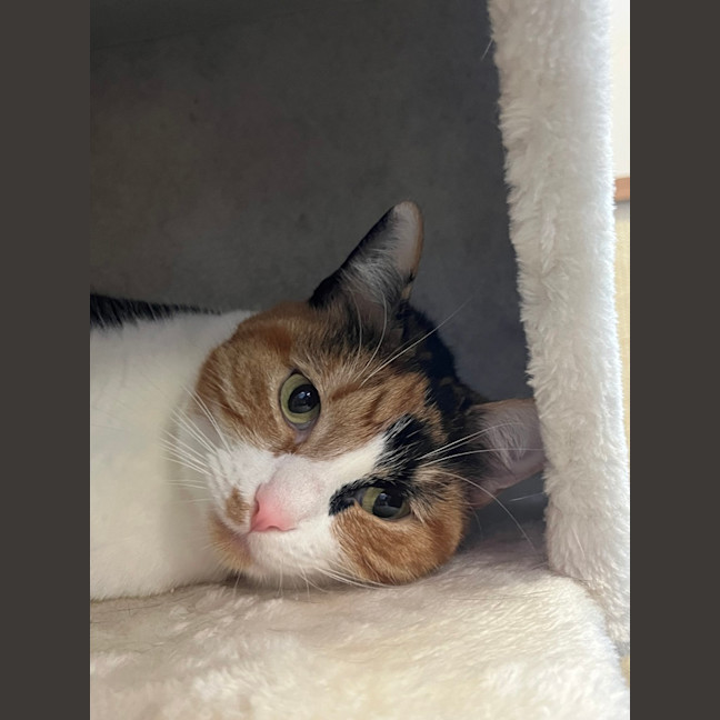 Photo of Hazel