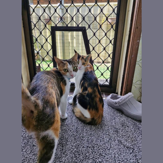 Photo of Holly & Angel