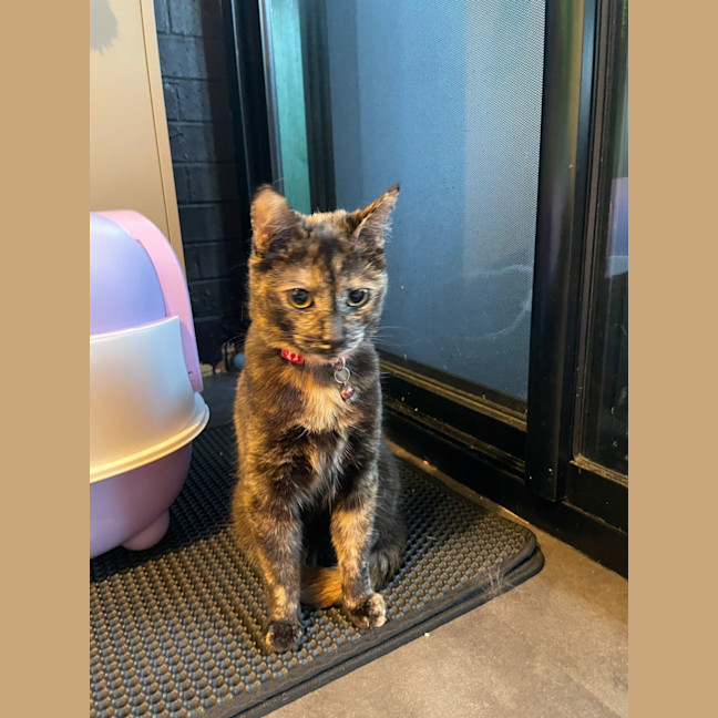 Photo of Minnie