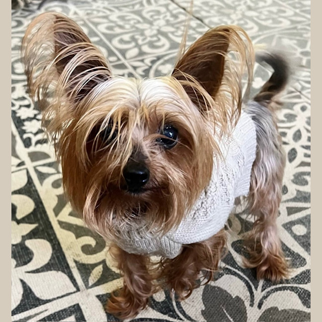 Photo of Tess