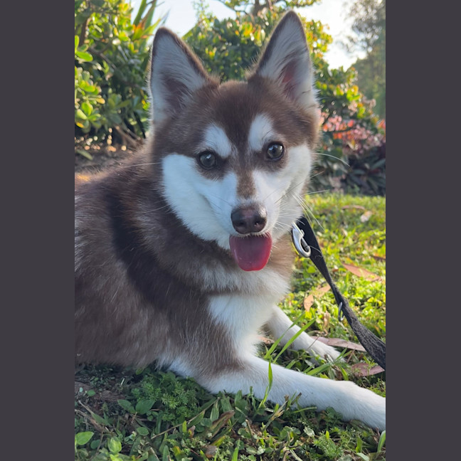 Photo of Jessie