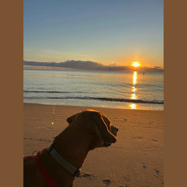 Photo of Bruno