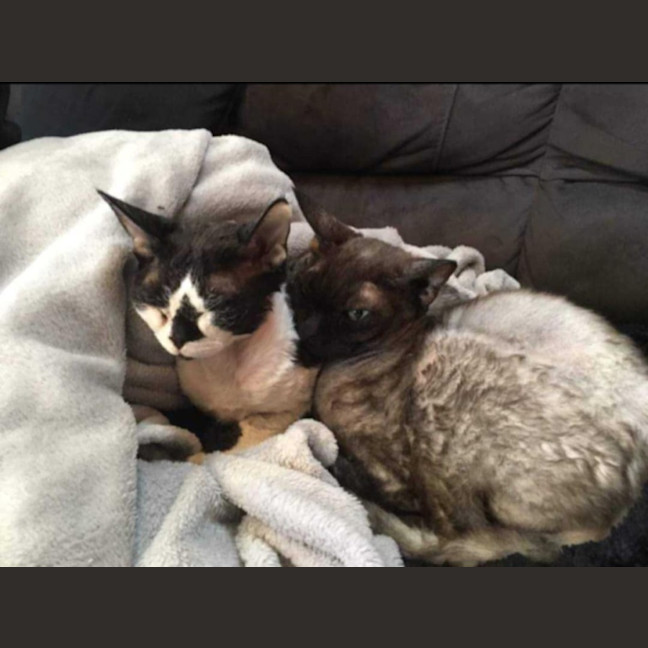 Photo of Diesel & Maggie