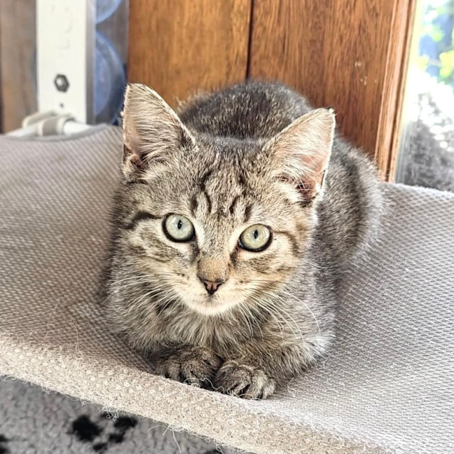 Photo of Rocky