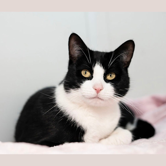 Photo of Kiki