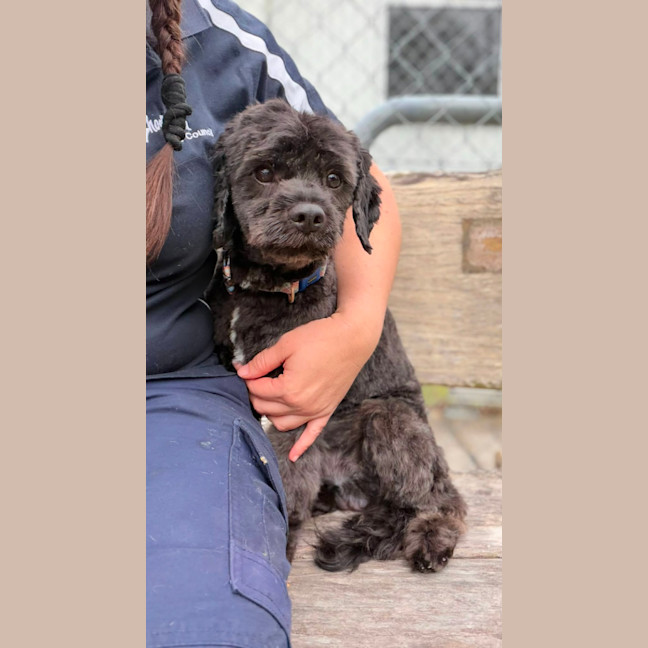 Photo of Bernard