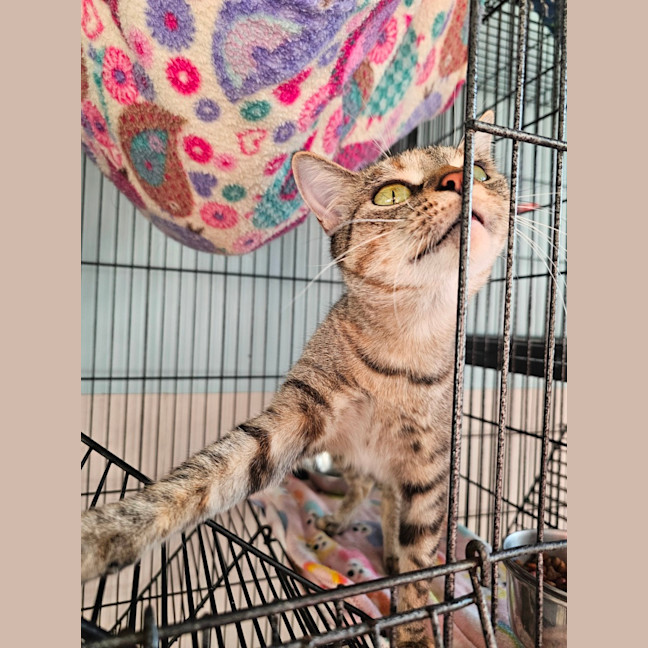Photo of Ramona