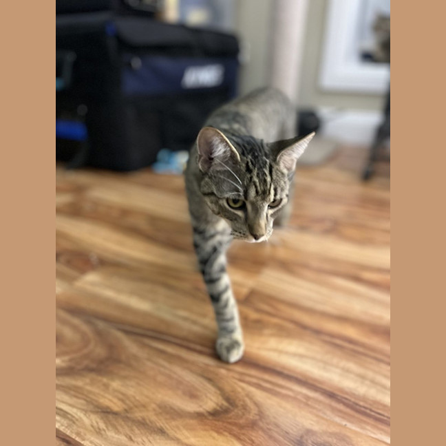 Photo of Finn