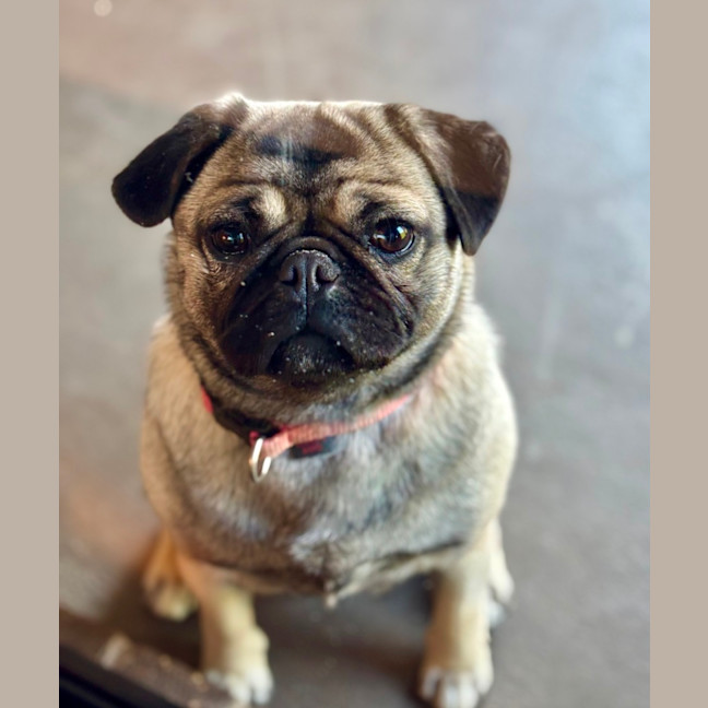 Photo of Betty