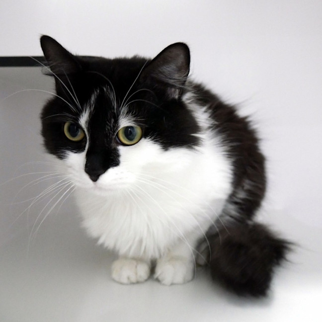 Photo of Kyle Rsta011628