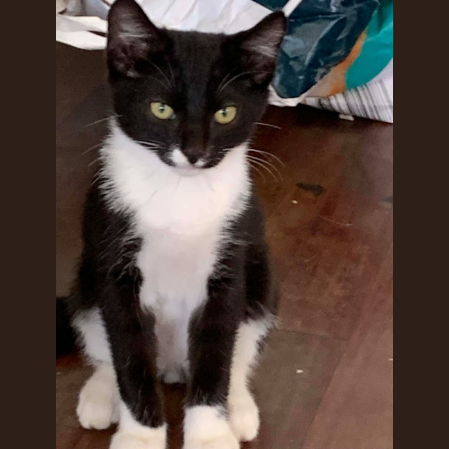 Photo of Rocket 