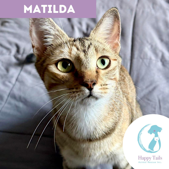 Photo of Matilda