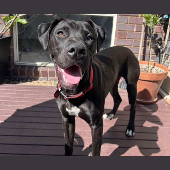 Photo of Abbie