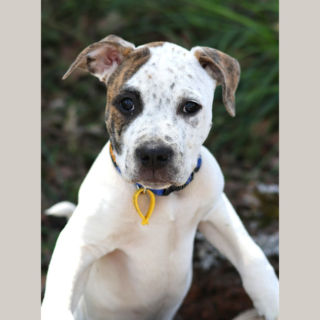 Photo of Kash