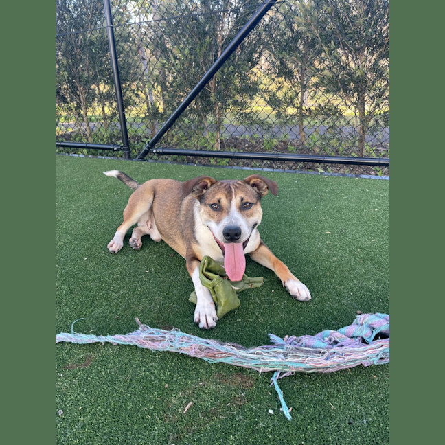 Photo of Kobe Imp 1375