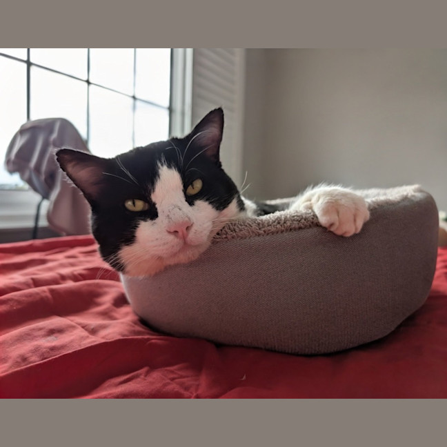 Photo of Benji