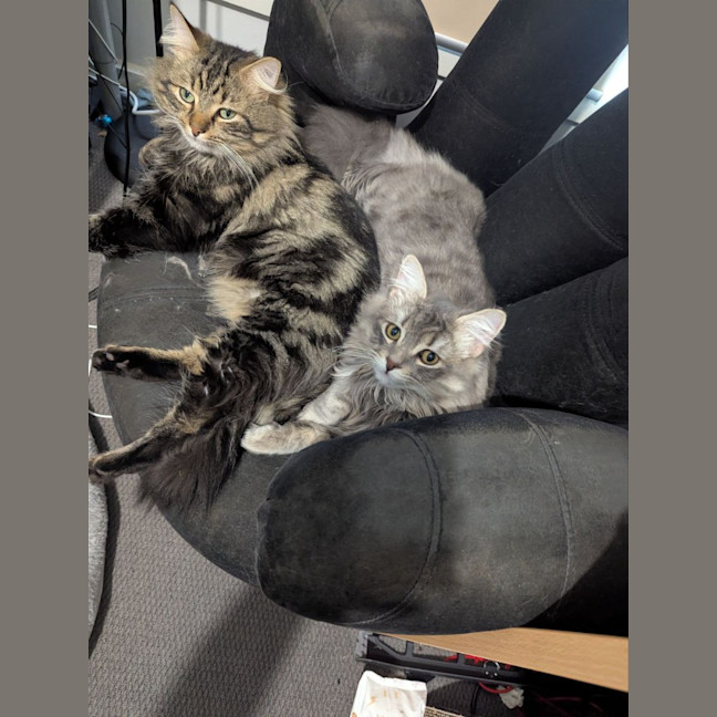 Photo of Wax & Wayne