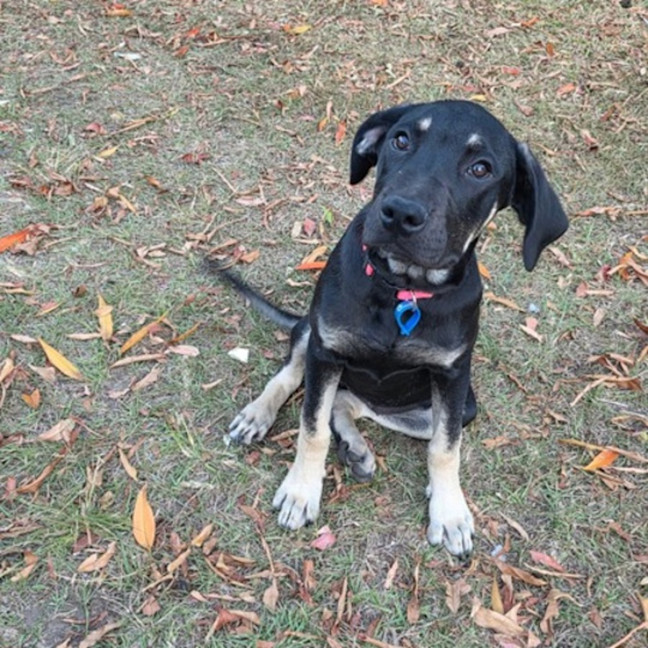 Photo of Cleo