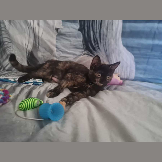Photo of Lily