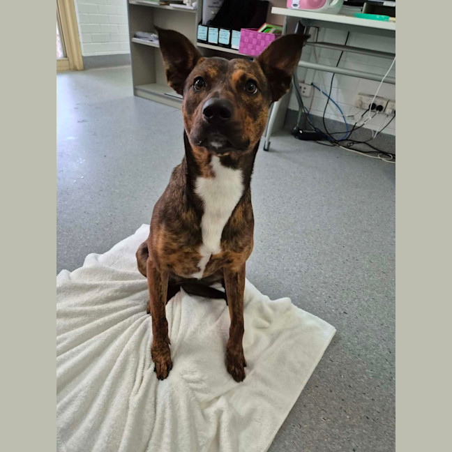 Photo of Toohey! 🍻