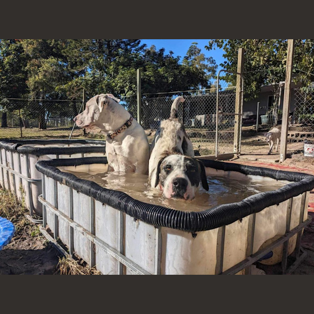 Photo of Winston