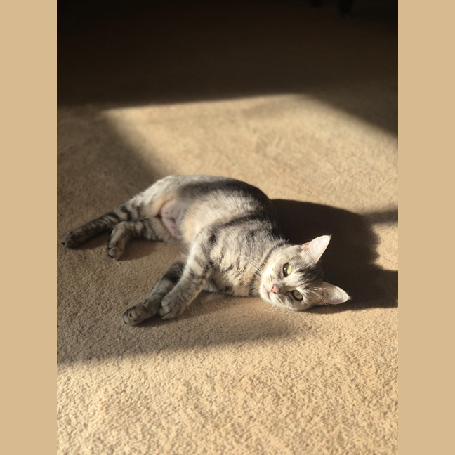 Photo of Cleo