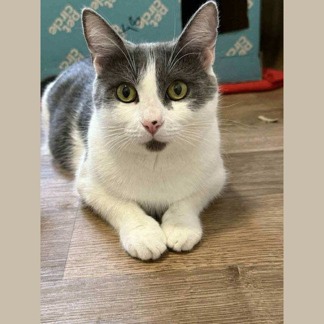 Photo of Delilah