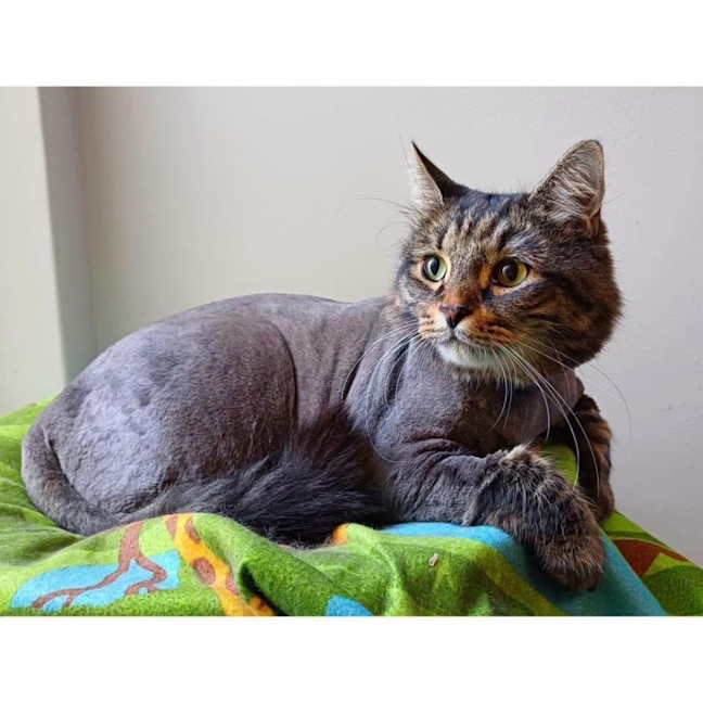 Photo of 11113   Malcolm