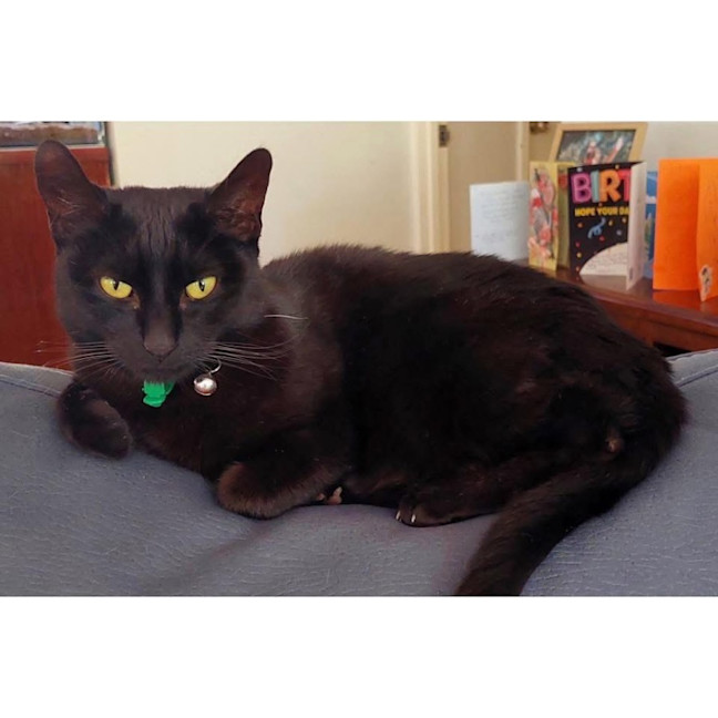 Photo of 12914   Tigger