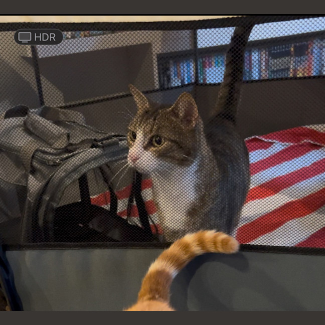 Photo of Lego   The Missing Piece