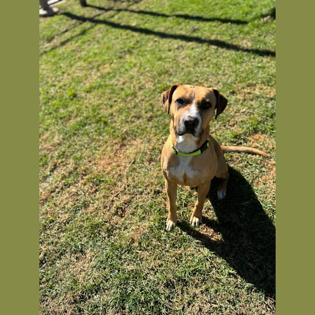 Photo of Mikey   Max