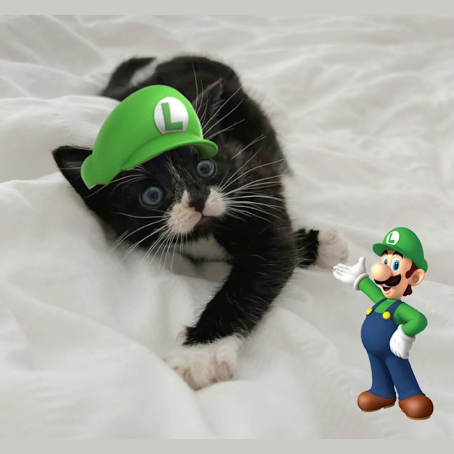 Photo of Luigi