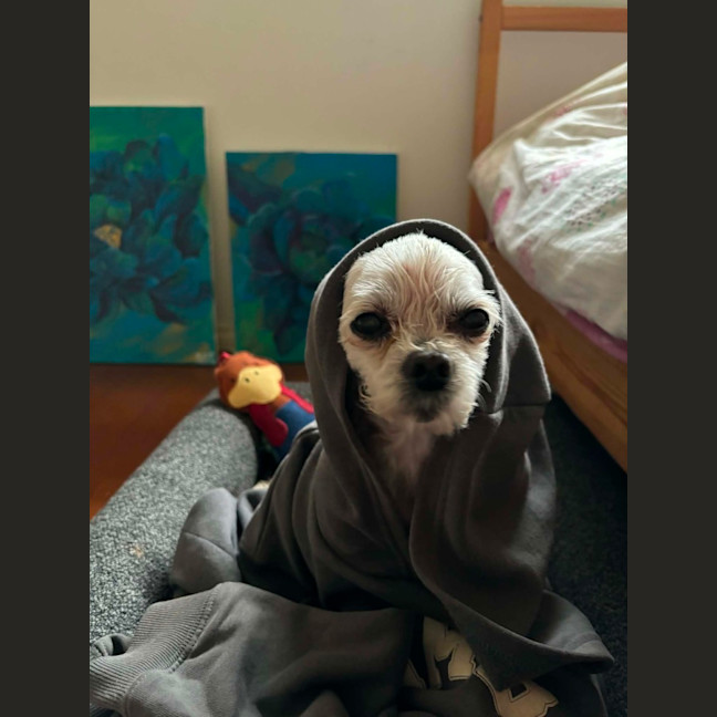 Photo of Fran Drescher