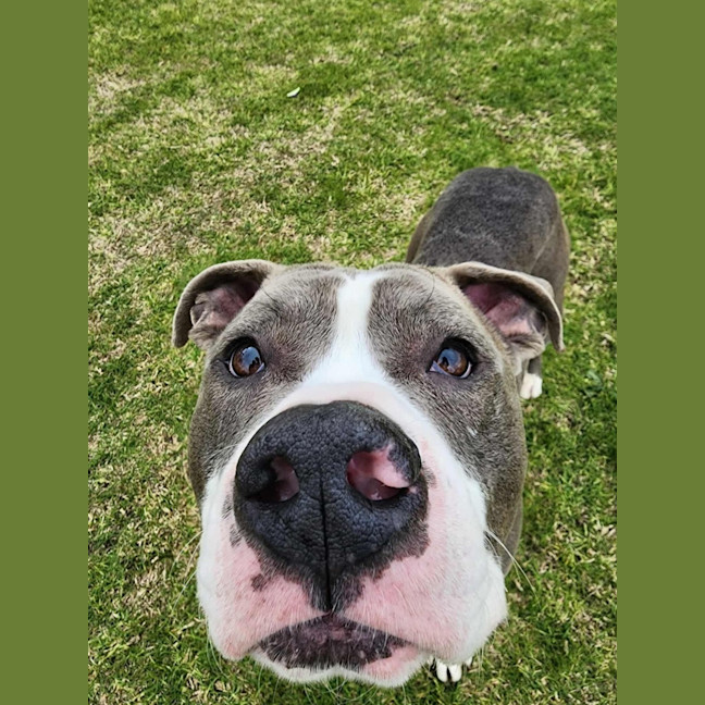 Photo of 🧱 Mason 6377 🧱