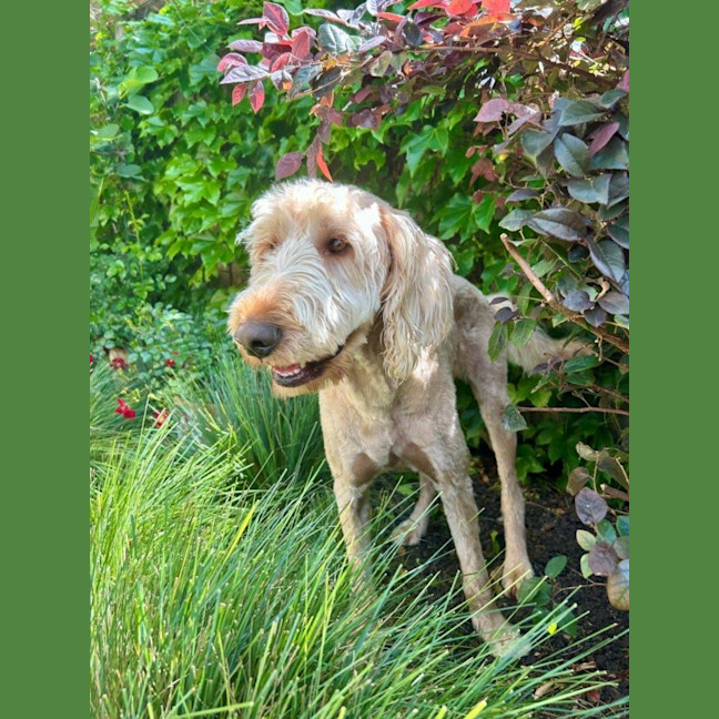 Photo of Marshall Uffelman