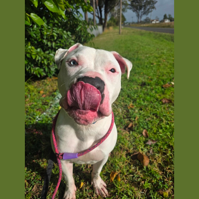 Photo of Bingo
