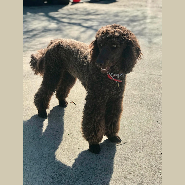 Photo of Xander